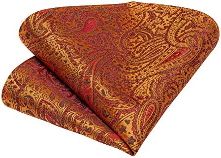 Vue 7 de Cravate Et Mouchoir De