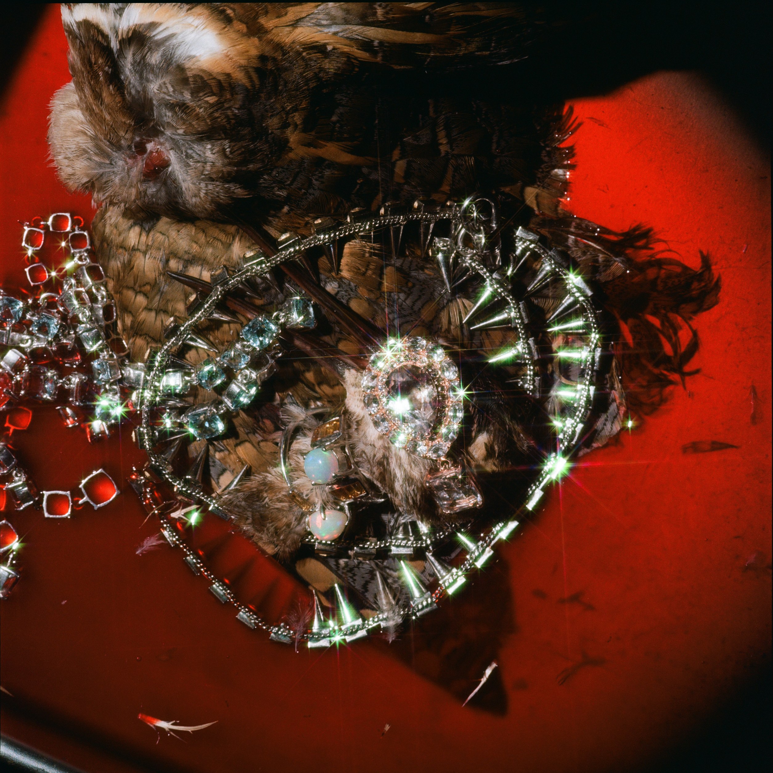 2024_film_pained_project-14