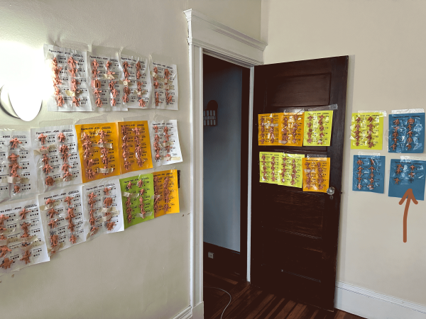 Satan's Cross - the rarest figure