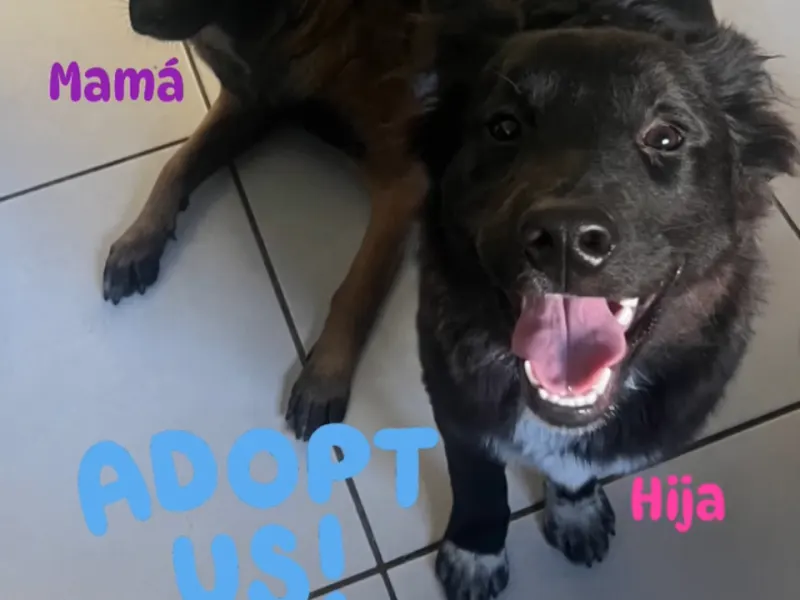 Osa (hija) Maya (mamá)