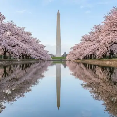 Best Places to Travel in the US in March: 13 Places, Ranked by How Many ...