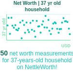 37-years-old-professional-adults-net-worth-household-chart