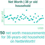 38-years-old-professional-adults-net-worth-household-chart