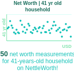 41-years-old-professional-adults-net-worth-household-chart