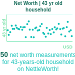 43-years-old-professional-adults-net-worth-household-chart