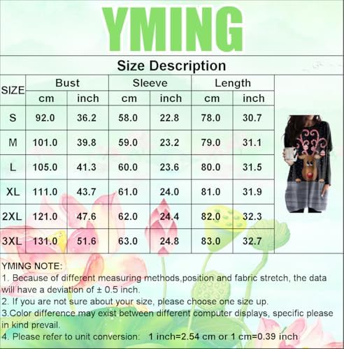 Vue 2 de Femmes Pulls Noel Jersey