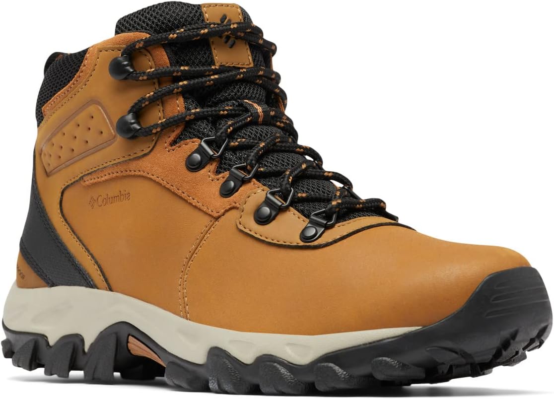 Homme Newton Ridge Plus
