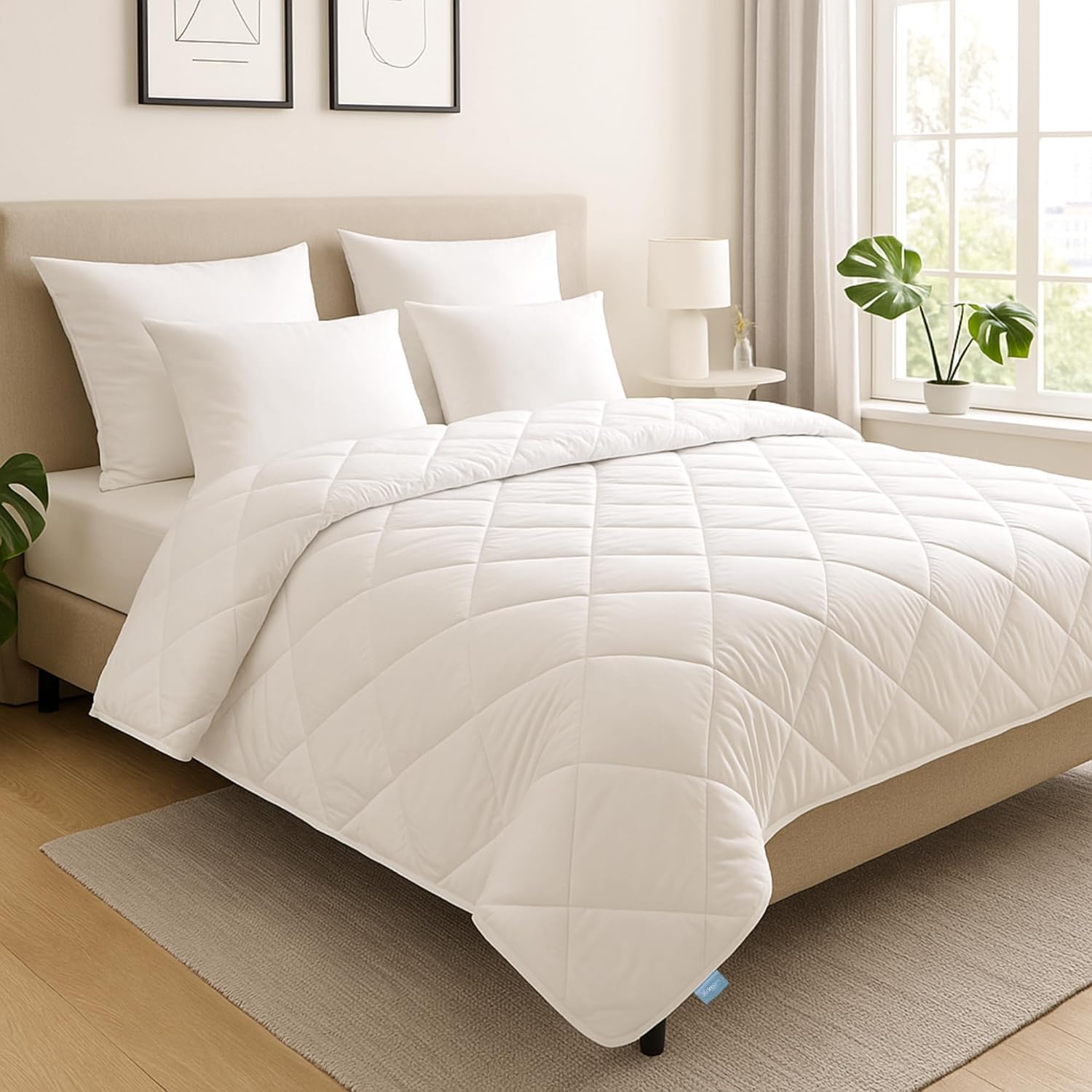 Xdream Couverture Dete Pure