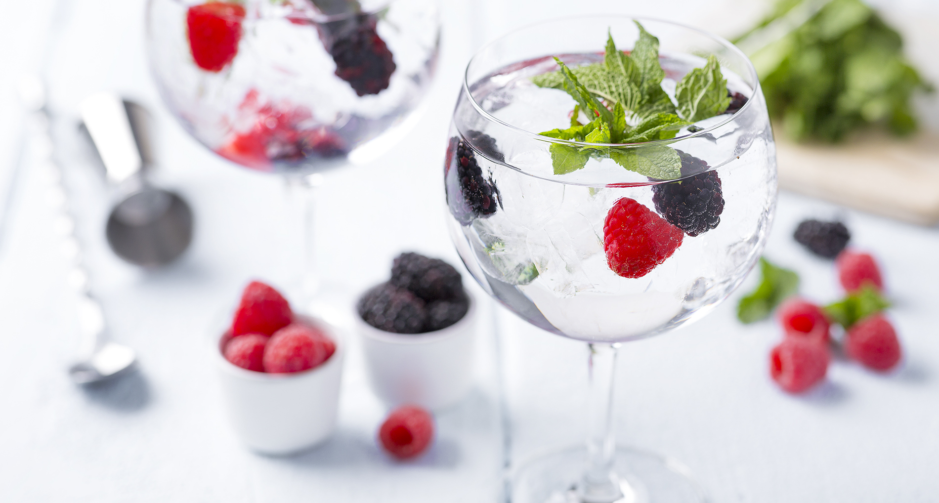 Gin Tónico