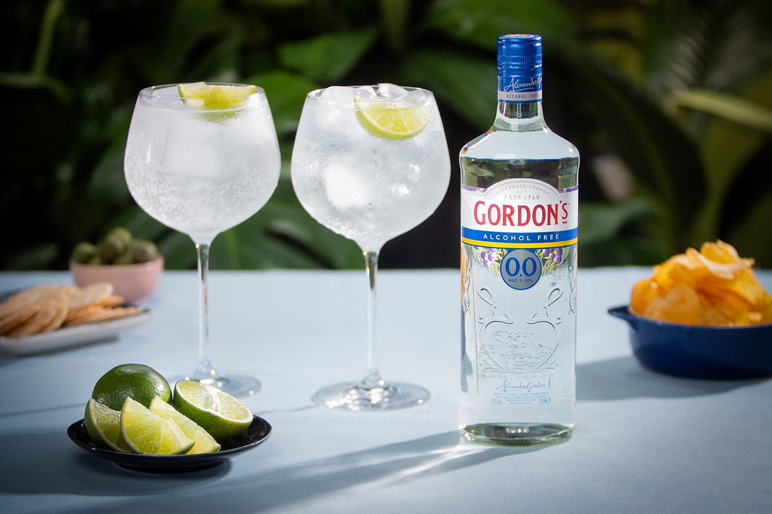 Gin Tónico Sem Álcool