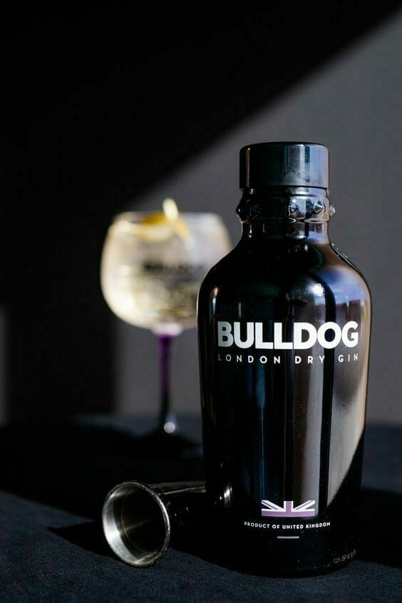 Bulldog