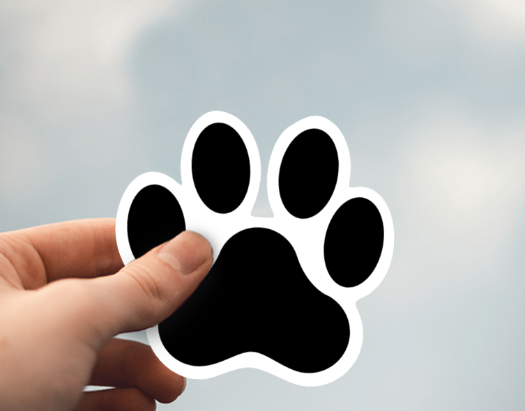 (38) Removable White Vinyl Semi-Glossy Die-Cut Sticker