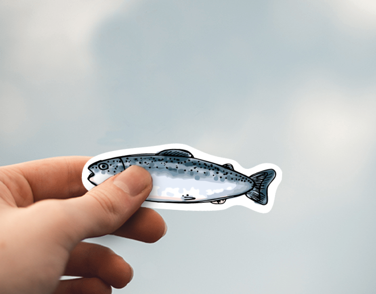 (38) Removable White Vinyl Semi-Glossy Die-Cut Sticker