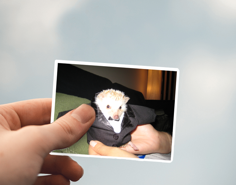 (38) Removable White Vinyl Semi-Glossy Die-Cut Sticker