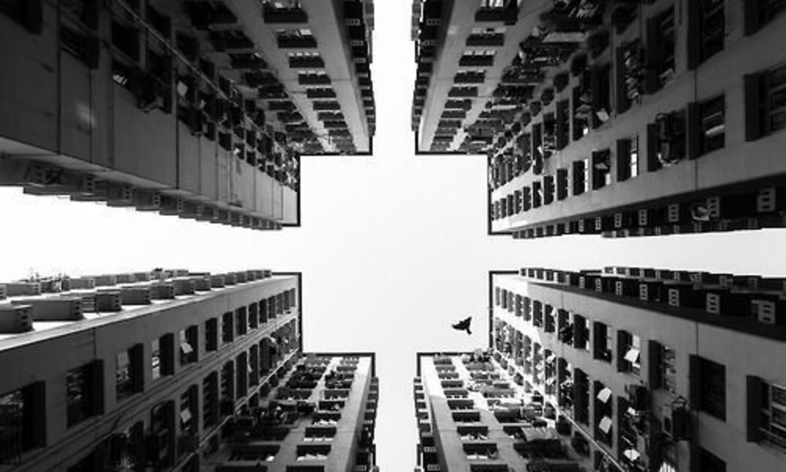 Golden Rules of Composition in Photography