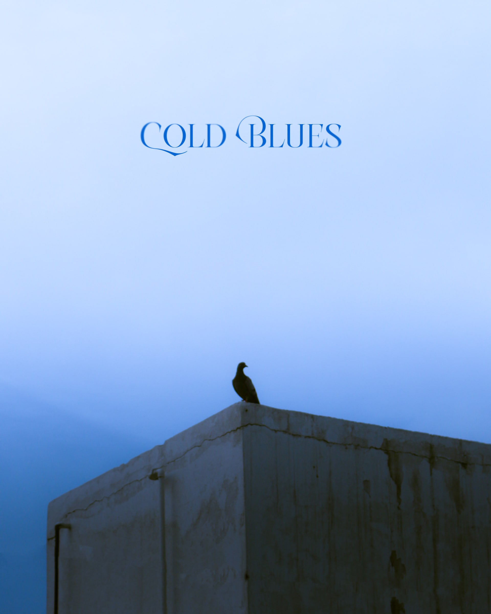 Cold Blues