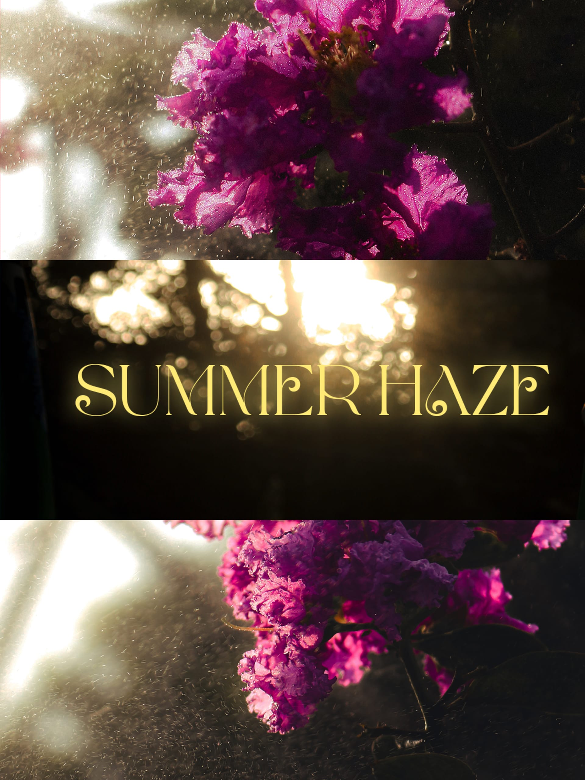 Summer Haze