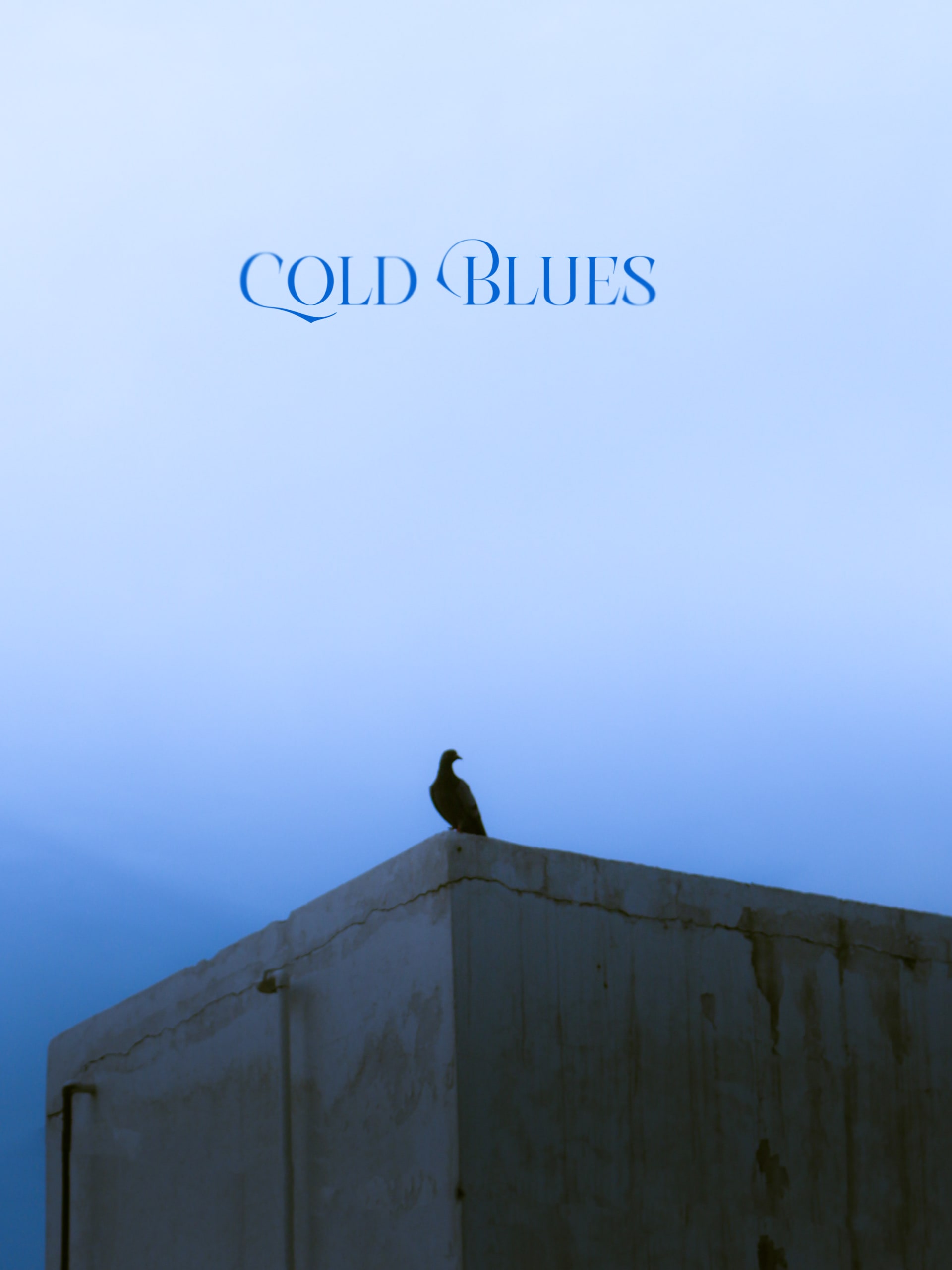 Cold Blues - Plate 1