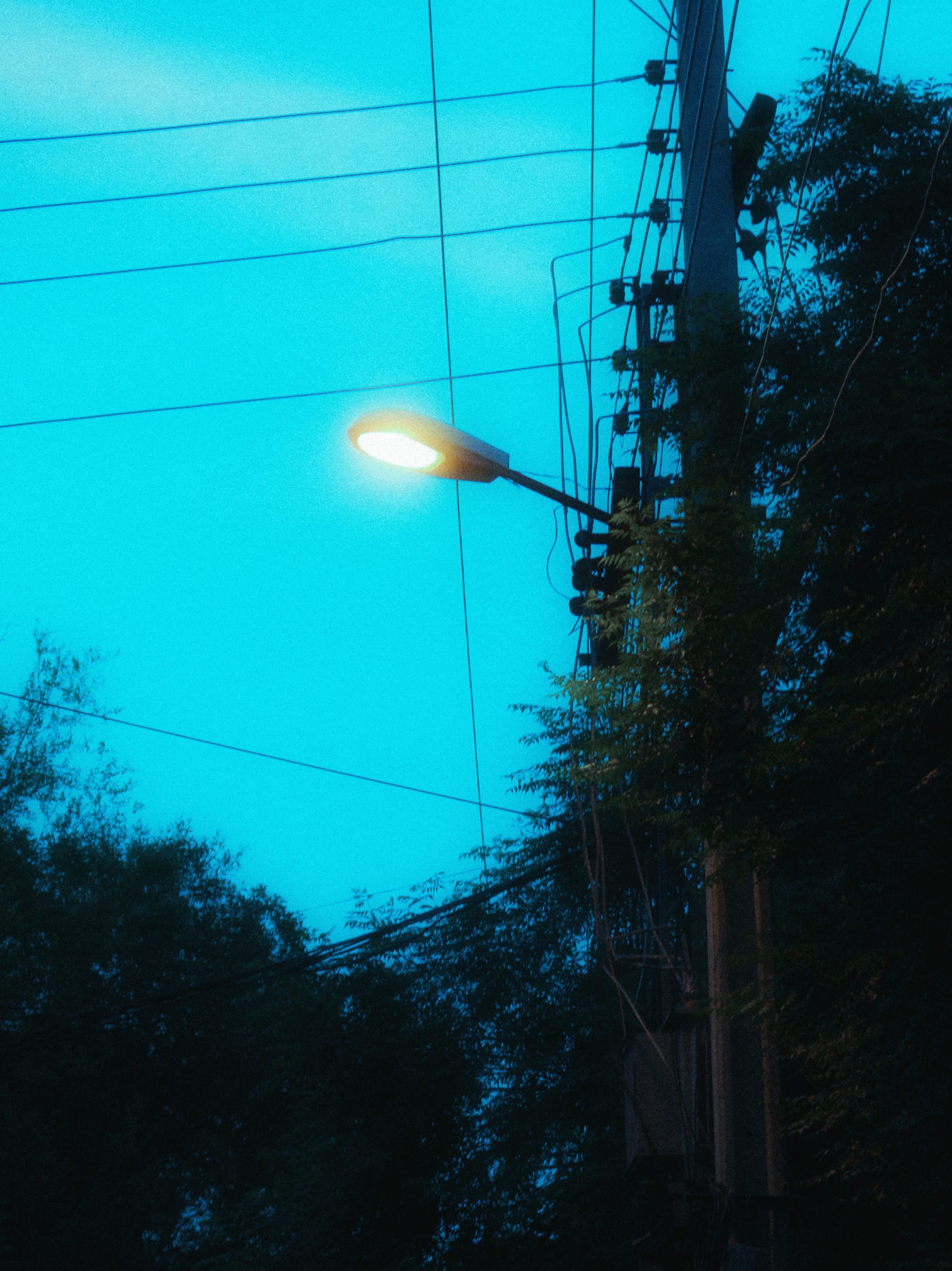 Cold Blues - Plate 6