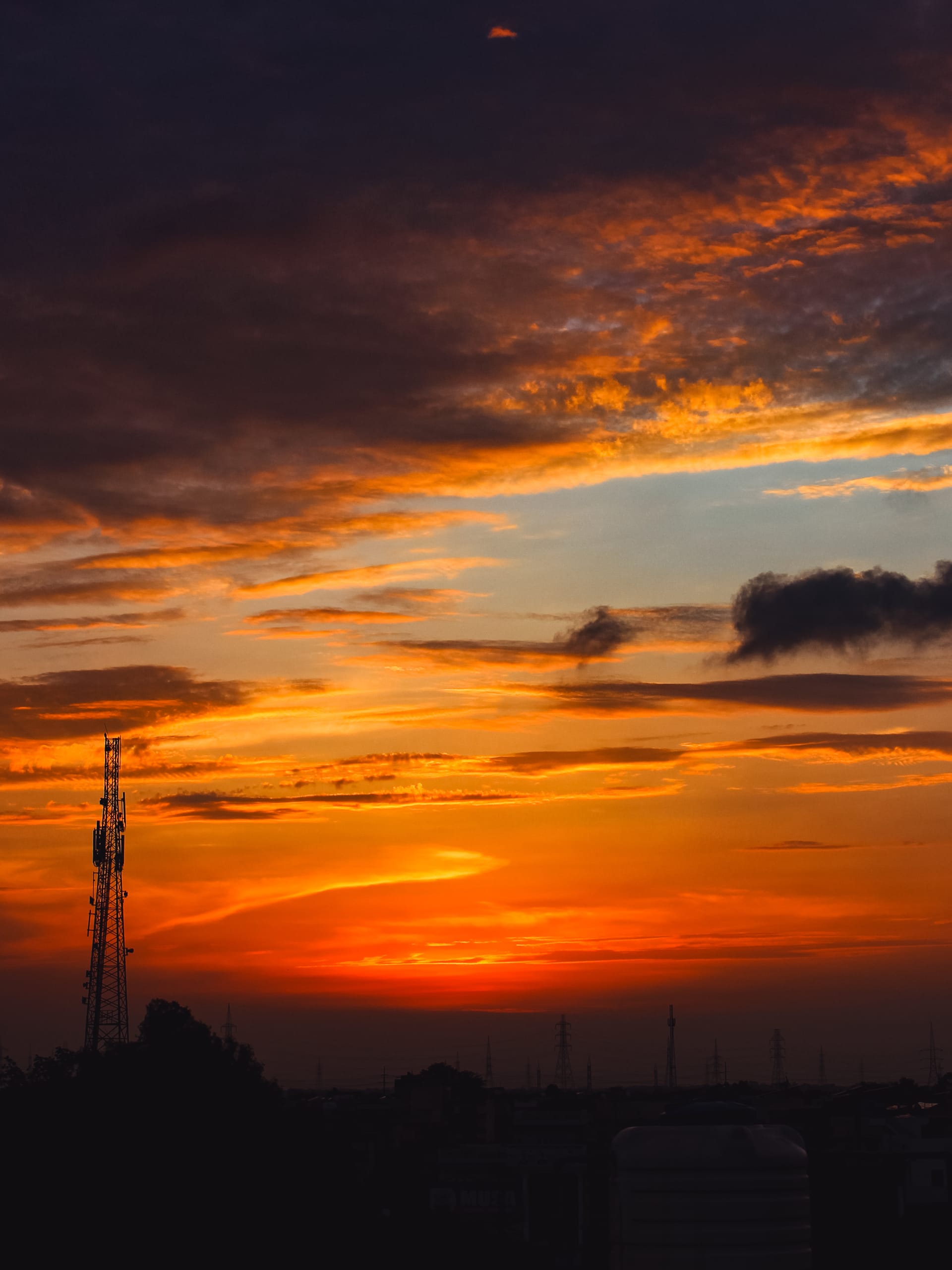 SUNSET SUMMERS - Plate 4