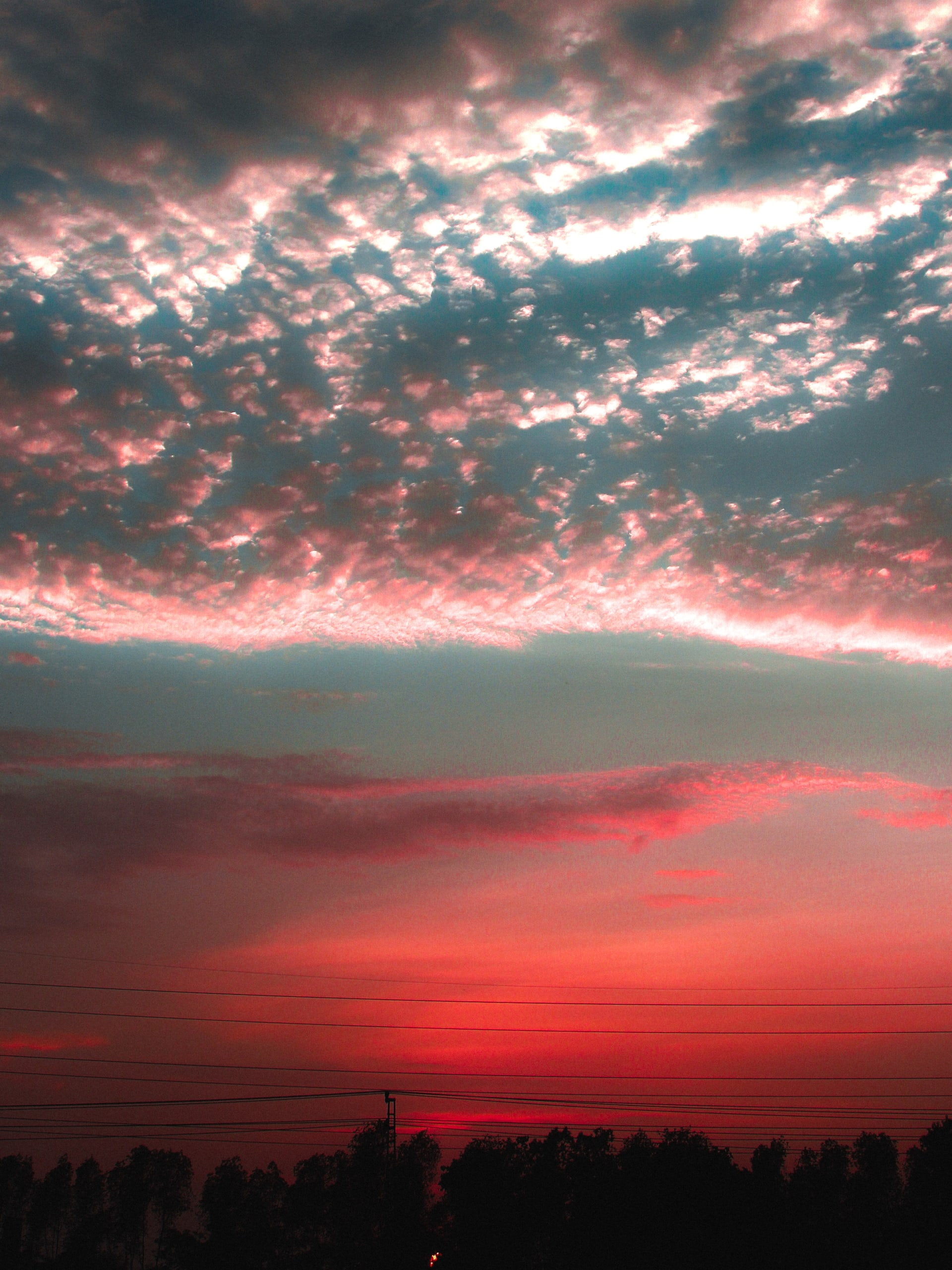 SUNSET SUMMERS - Plate 9