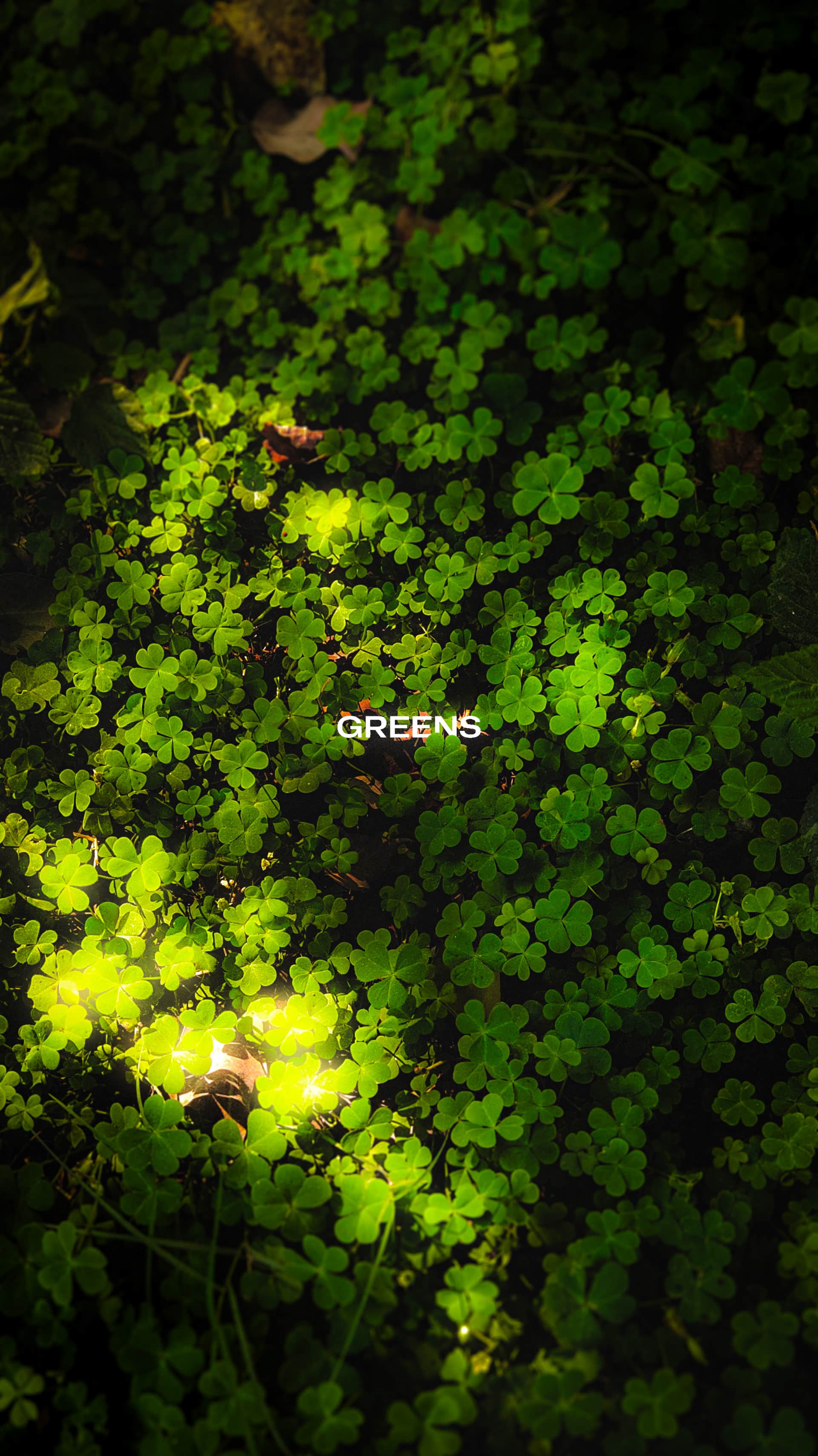 GREENS blurred background