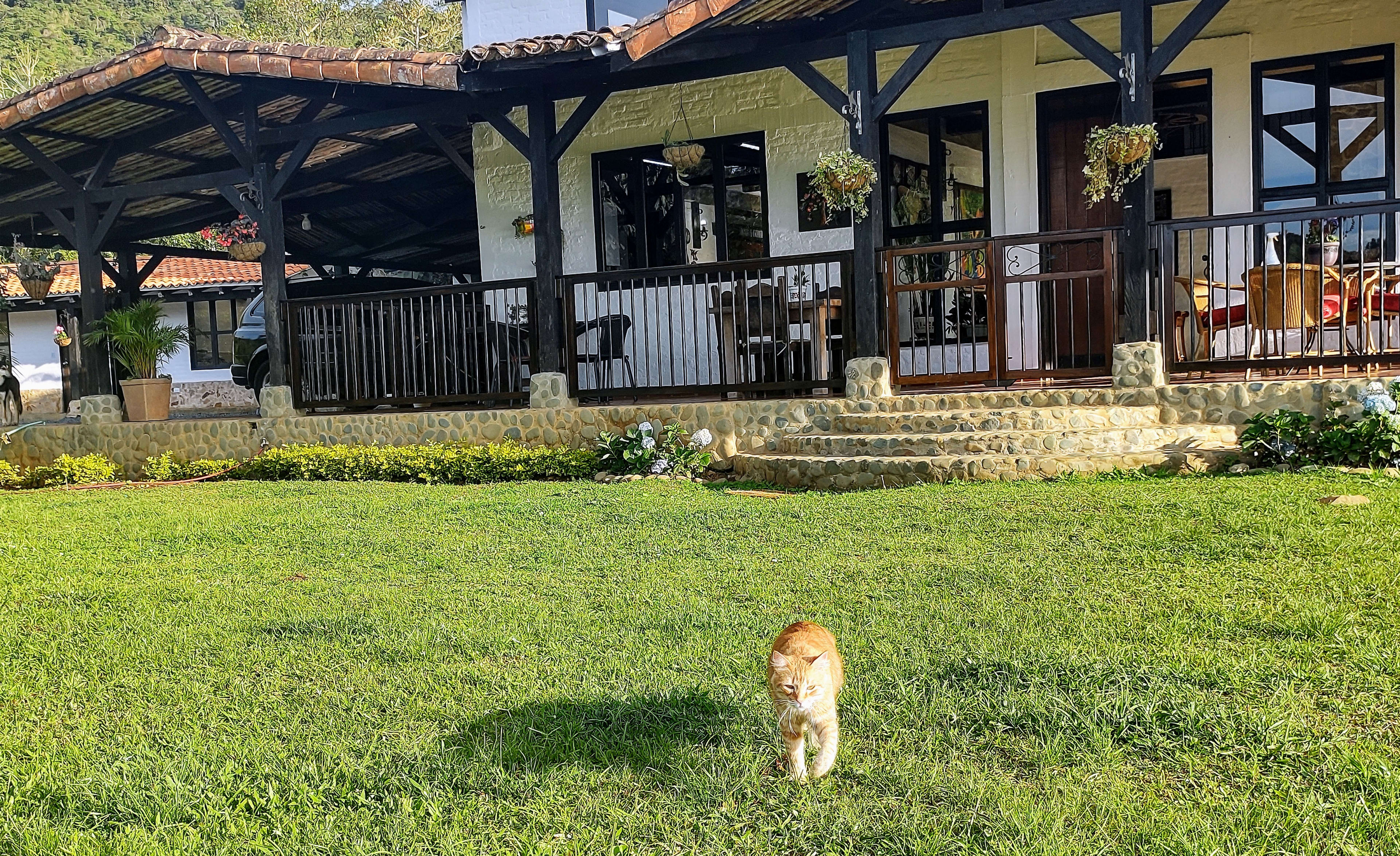 Casa Colibri undefined