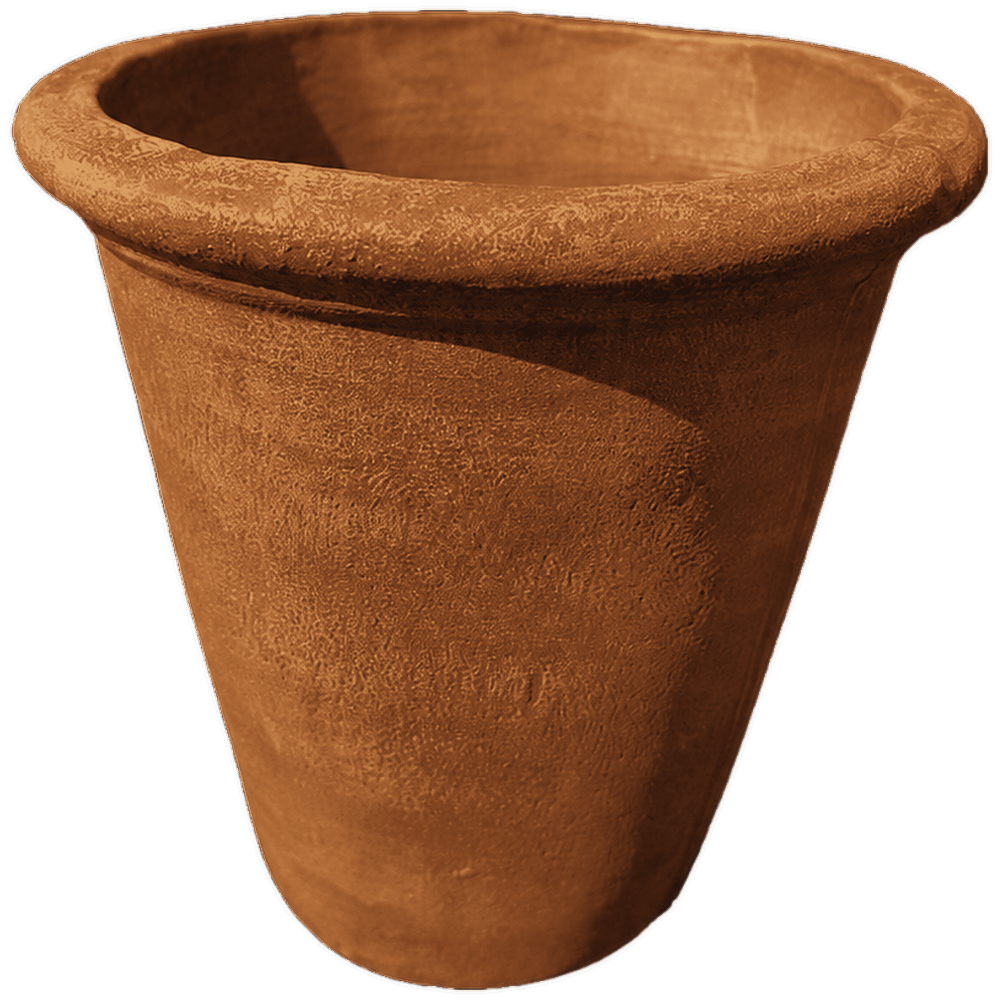 Constancha in Rust