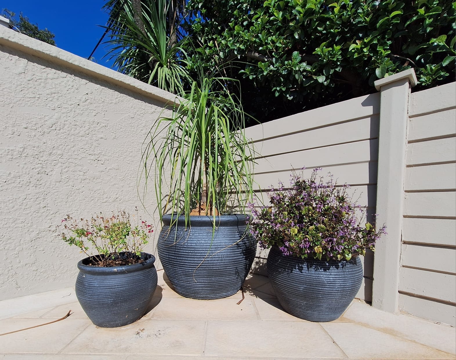 Pots For Grabs product photo