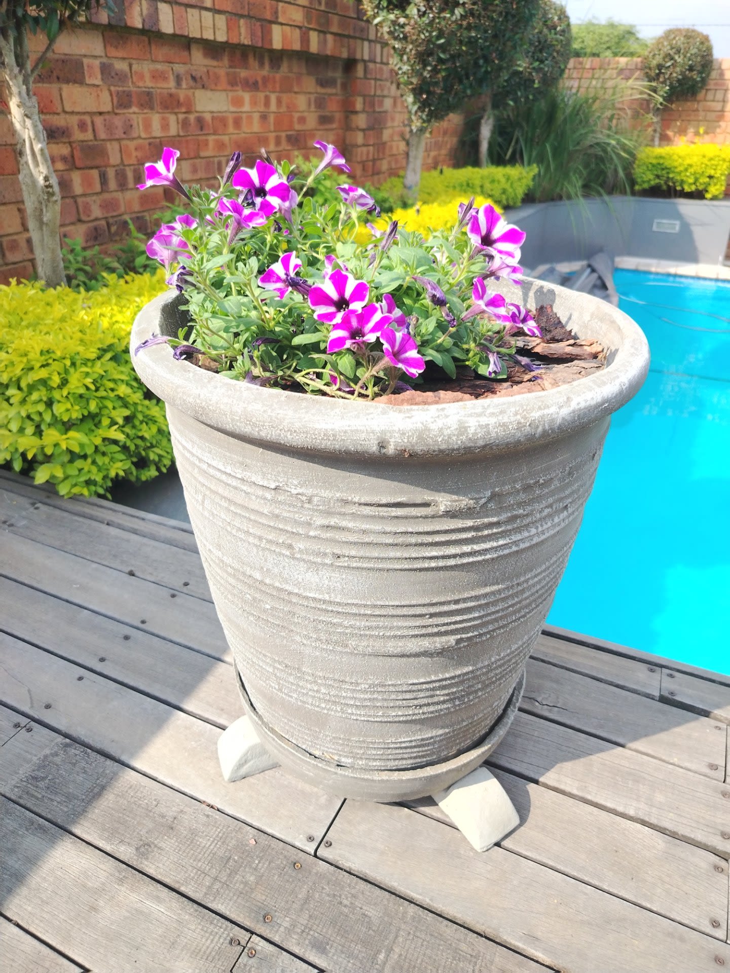 Pots For Grabs product photo