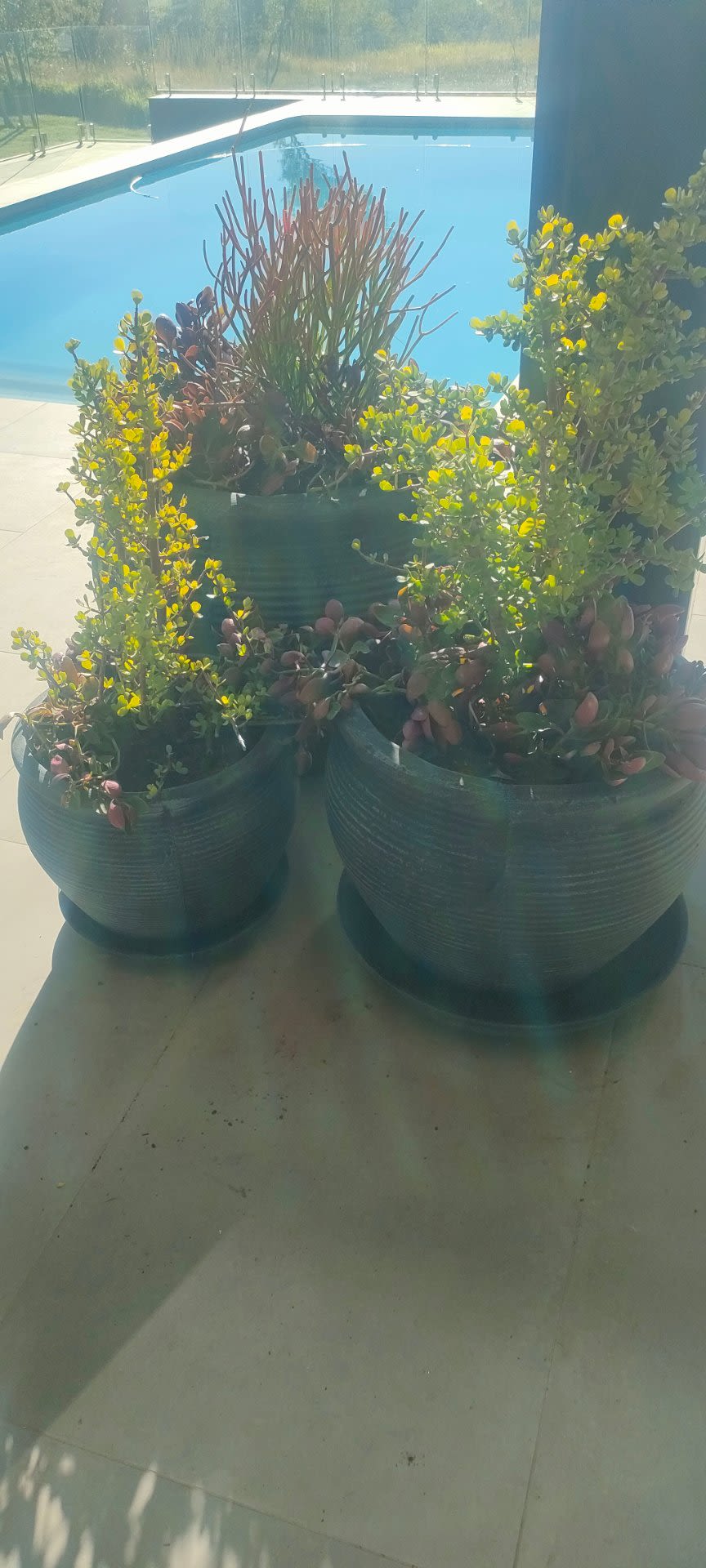 How to Style Pots on a Patio Without It Looking Cluttered