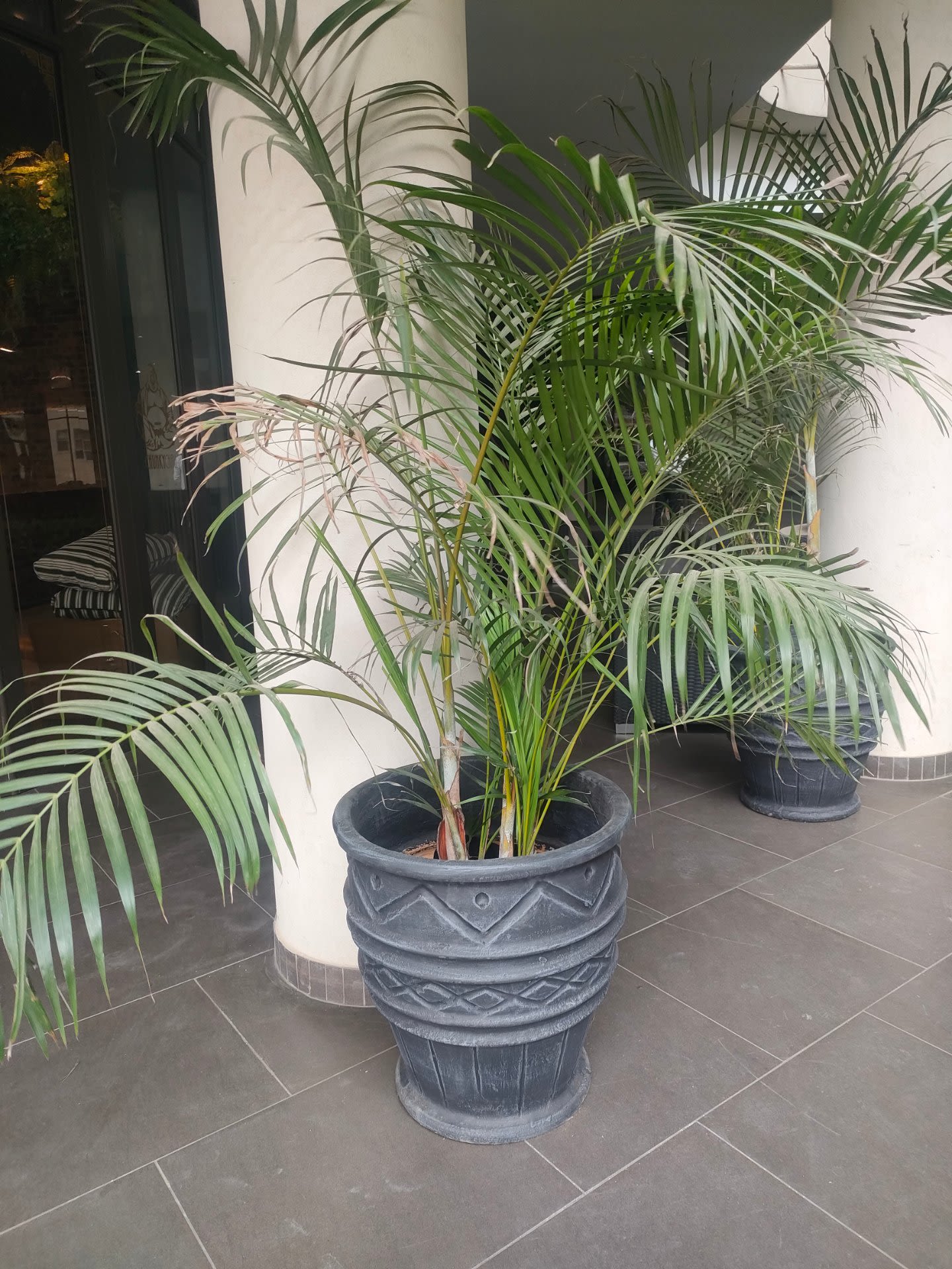 Why Pots Crack β and How to Prevent It