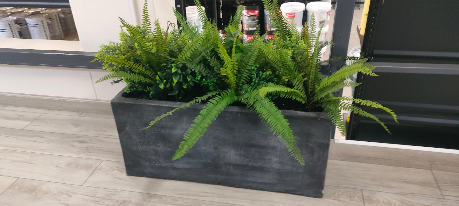 Caring for Outdoor Pots in Gauteng β A Year-Round Guide