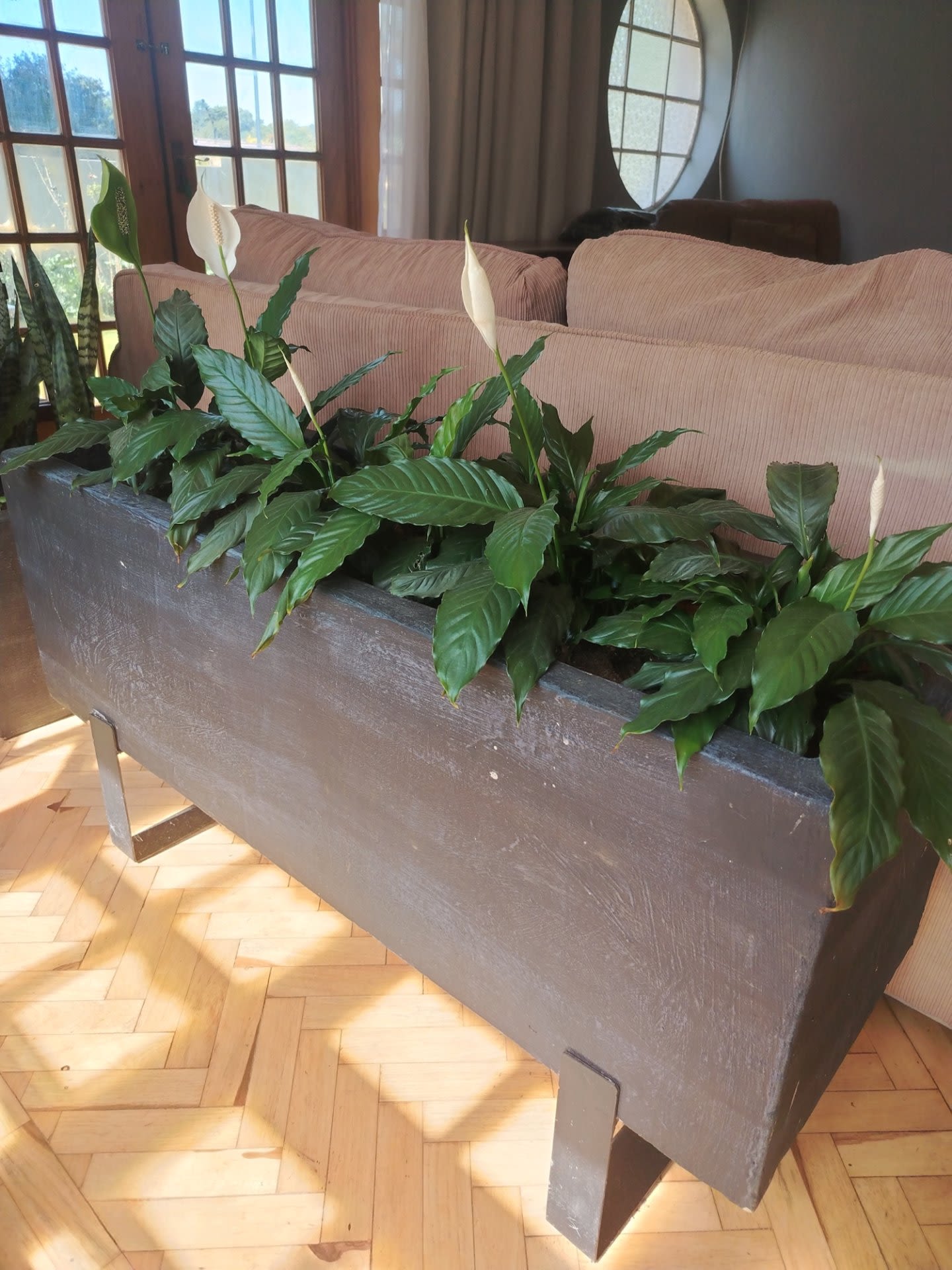 Why GRC Pots Survive Highveld Frost (and Clay Doesn't)