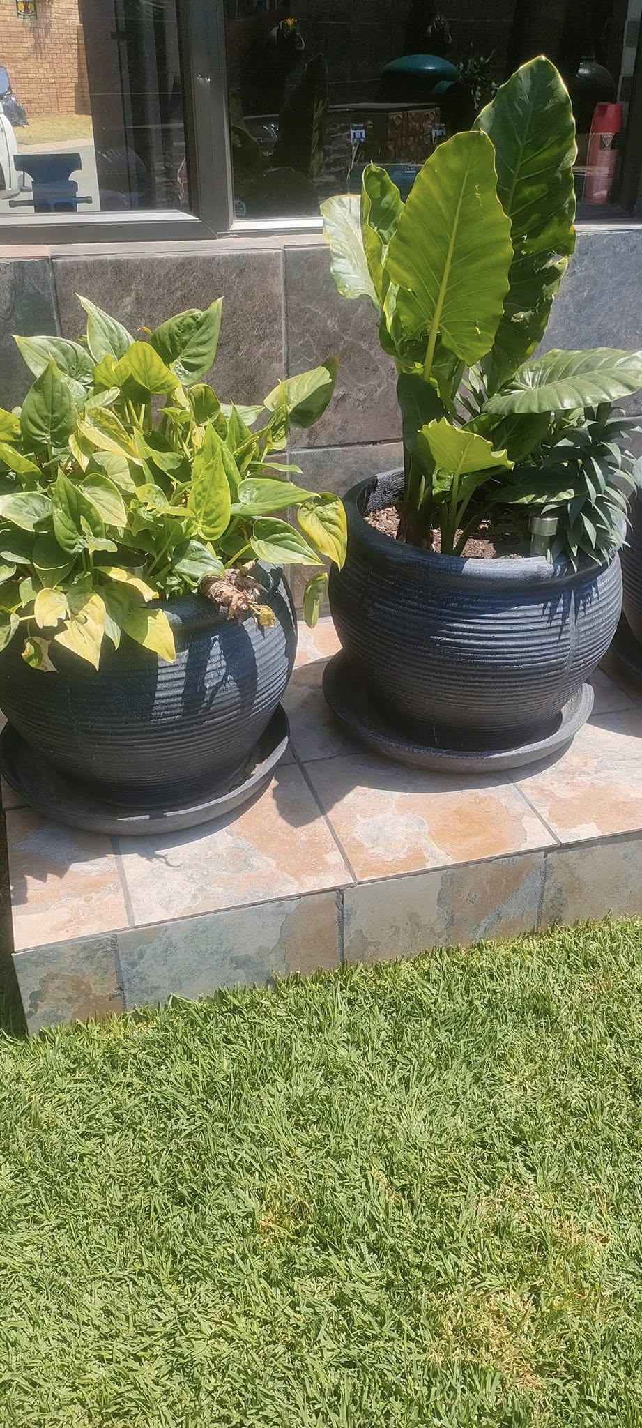 Pots For Grabs product photo