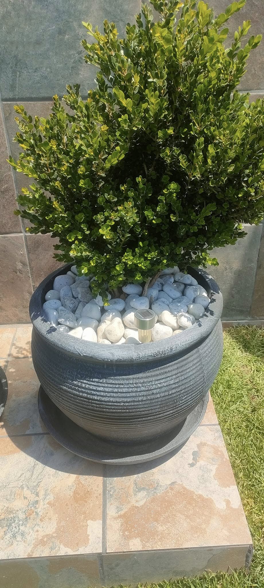 Pots For Grabs product photo