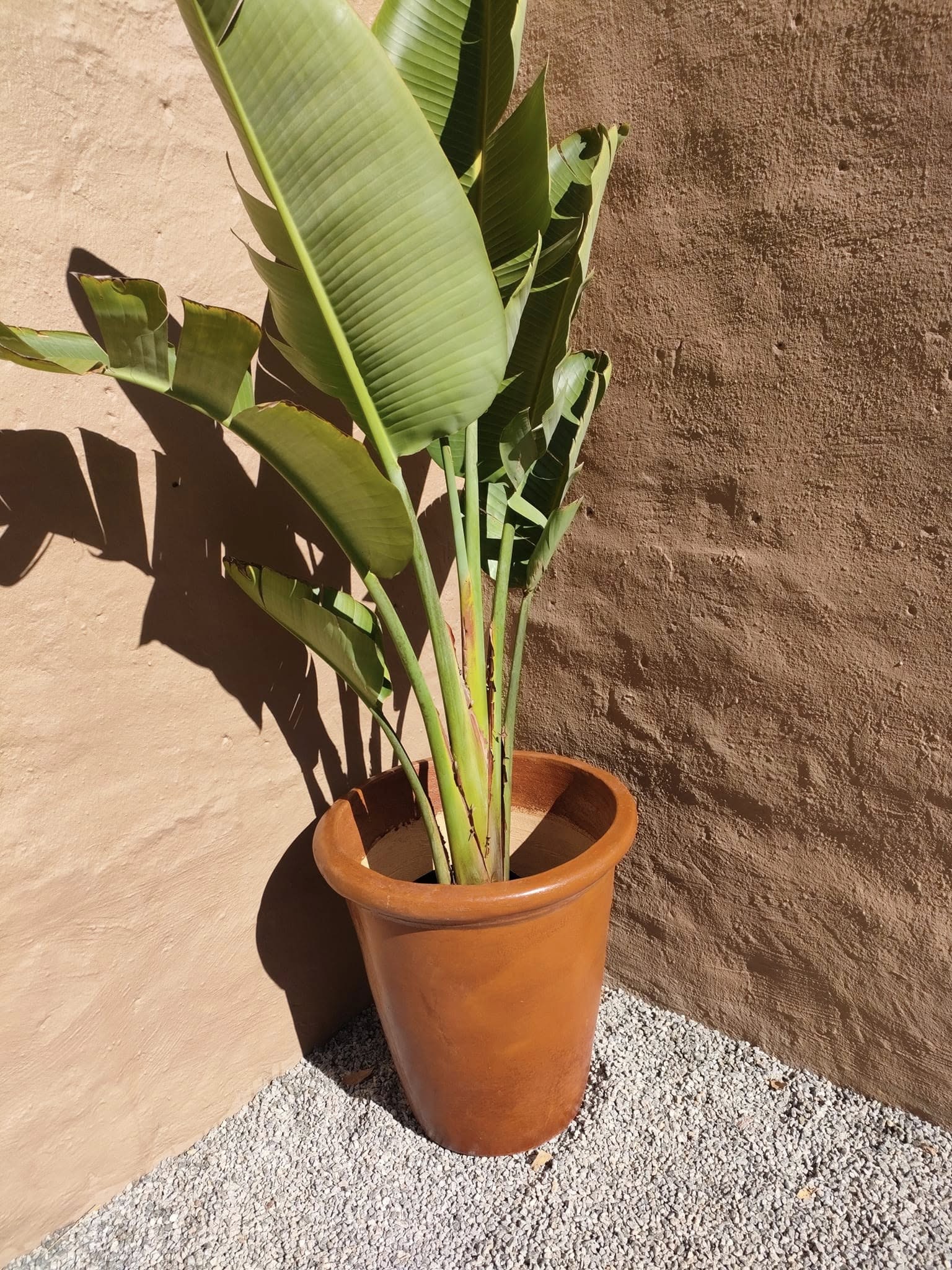 Pots For Grabs product photo