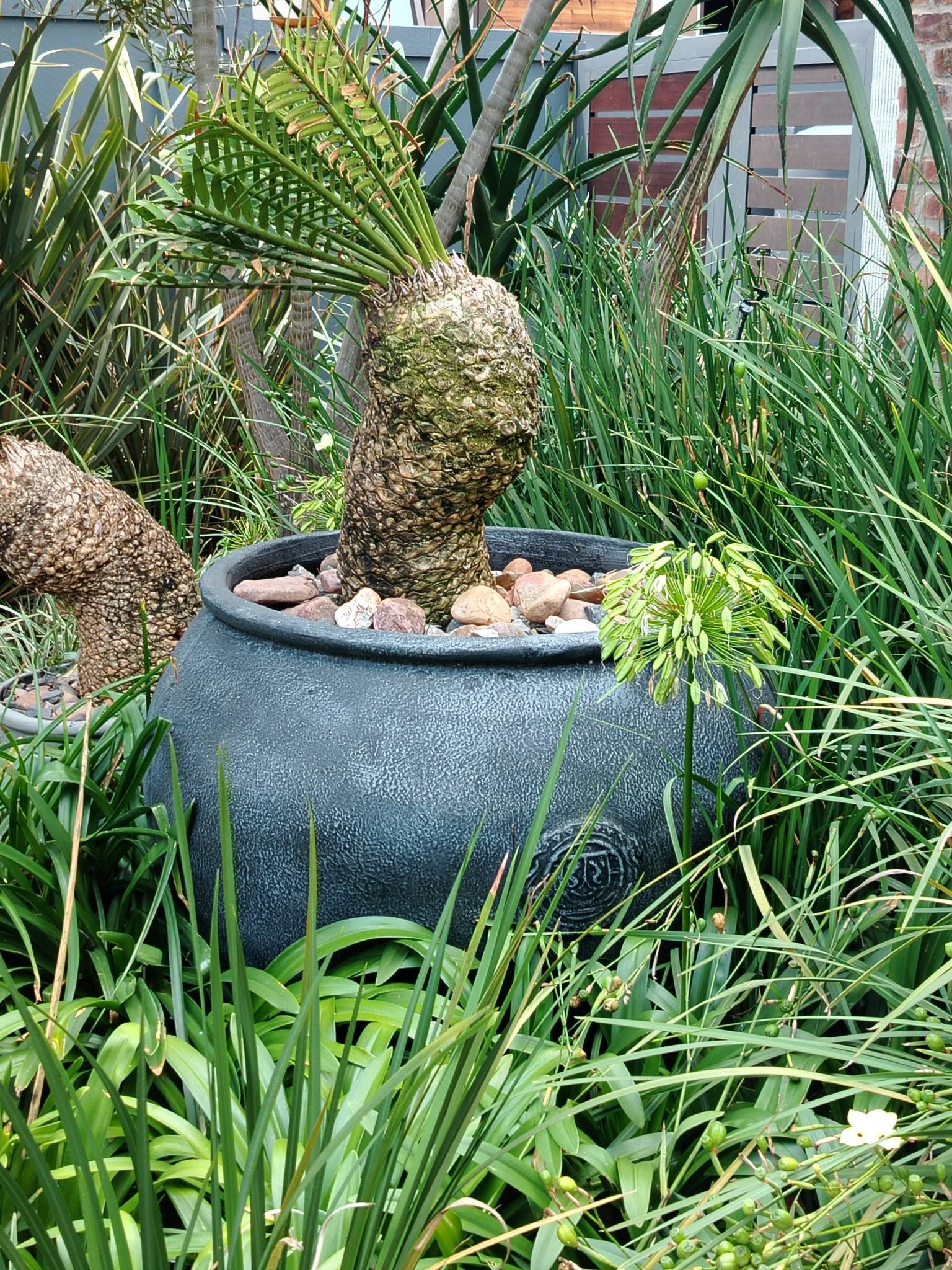 Pots For Grabs product photo