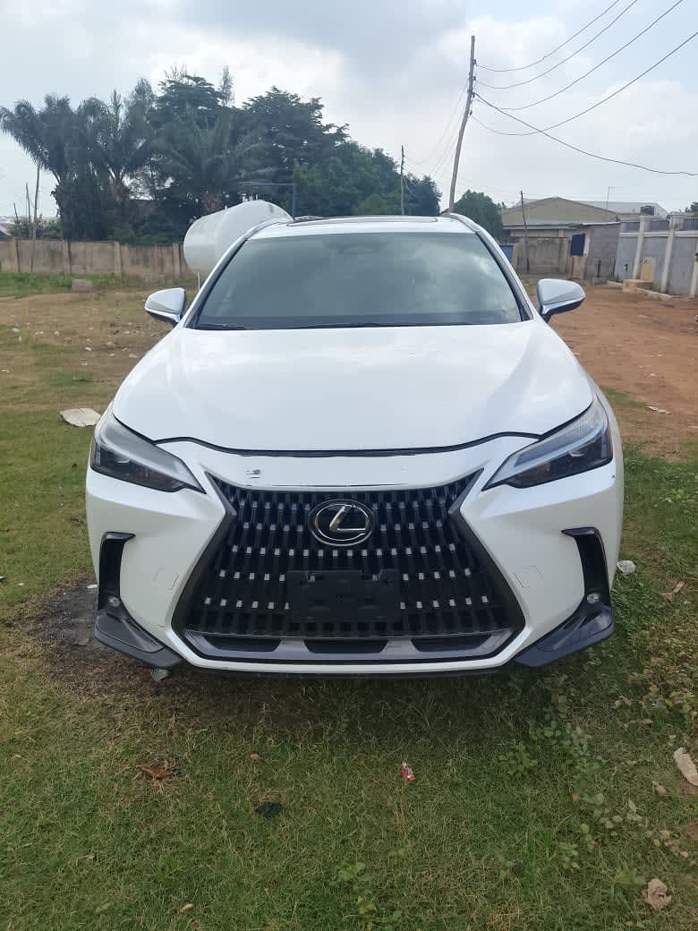 Lexus NX350H 2024