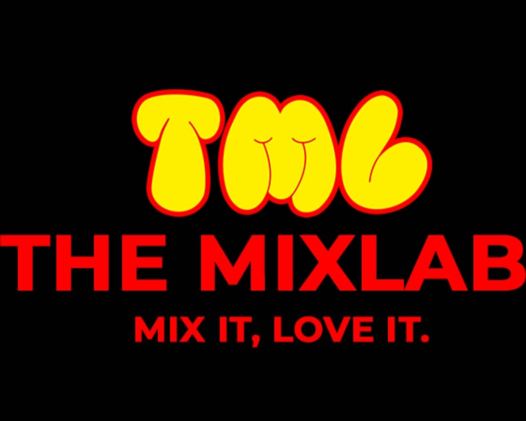 THE MIX LAB LIMITED 