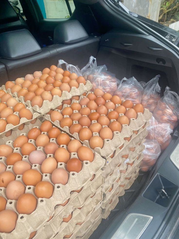 Crate of Eggs