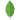 MongoDB