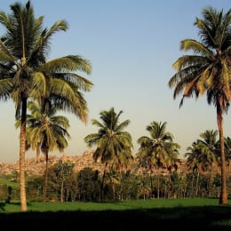 4 acres Farm Land in Yadagirigutta — Yadadri Bhuvanagiri