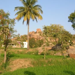 11 acres 20 guntas Farm Land in Achampet — Nagarkurnool
