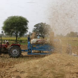 15 acres 30 guntas Farm Land in Yadagirigutta — Yadadri Bhuvanagiri