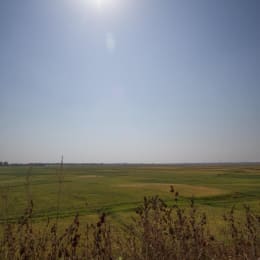 5 acres 20 guntas Prime Development Land — Shamshabad