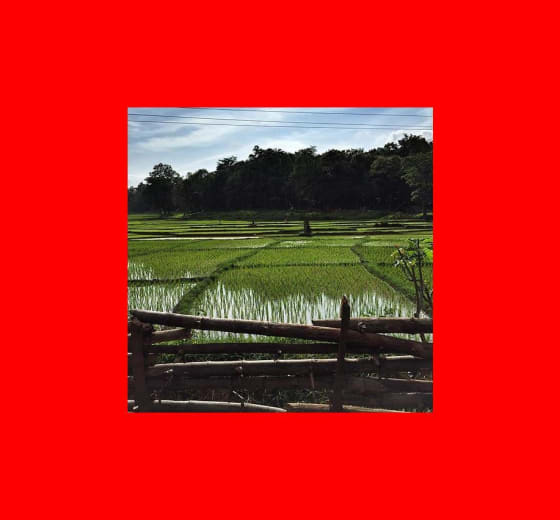 17 acres 30 guntas Farm Land in Kodangal — Vikarabad