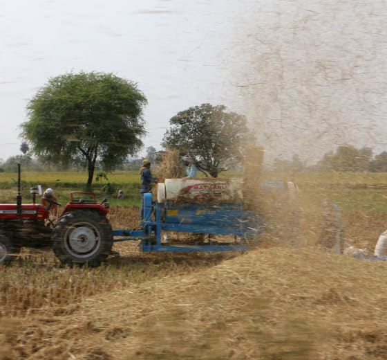 15 acres 30 guntas Farm Land in Yadagirigutta — Yadadri Bhuvanagiri