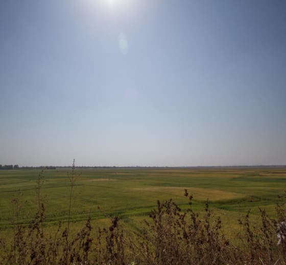 9 acres 10 guntas Farm Land in Balanagar — Mahbubnagar