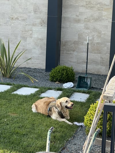 Tepekent Villa — fotoğraf 14